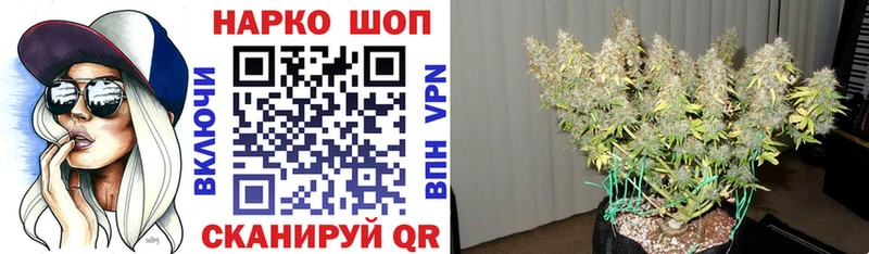 Где продают наркотики Печоры Конопля  COCAIN  Гашиш  Мефедрон 