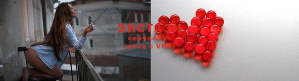 стаф Алексин